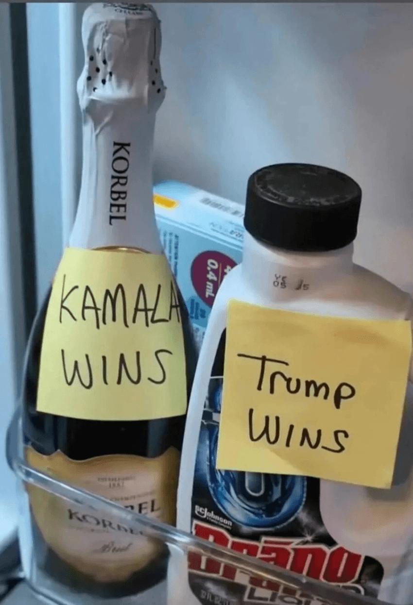 트럼프가 이기면 락스 마신다는 사람 근황