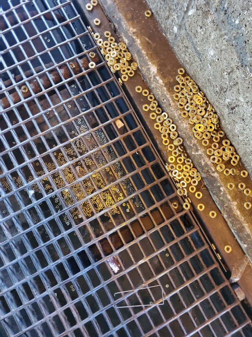 고슴도치 사망현장...rip