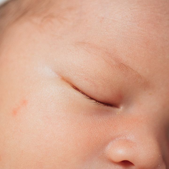 빈지노 미초바 근황