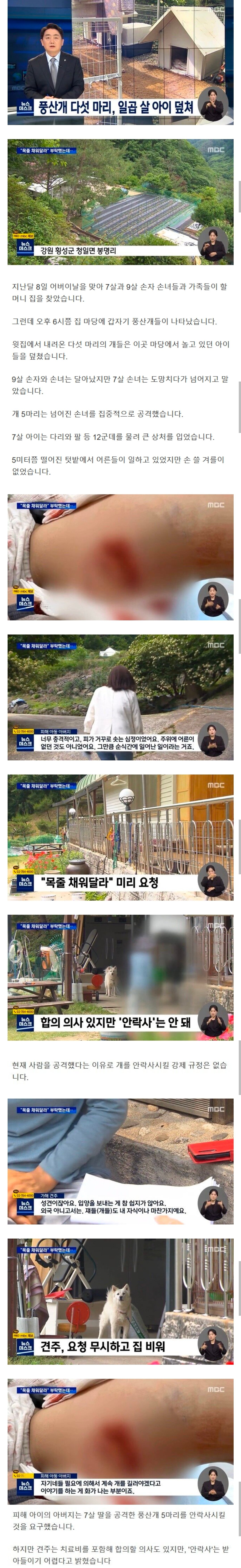 풍산개 5마리 7살아이 덮쳐 ..견주 "안락사 안돼"