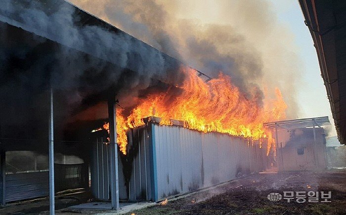 전남 태양광발전시설서 화재·감전 잇따라