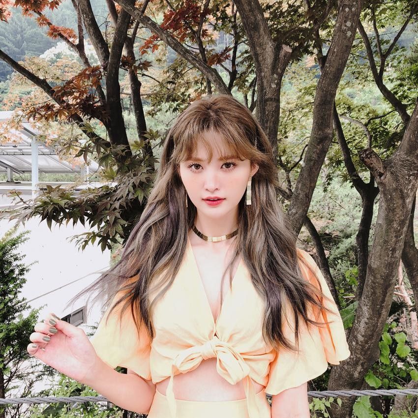 화사한 EXID 정화