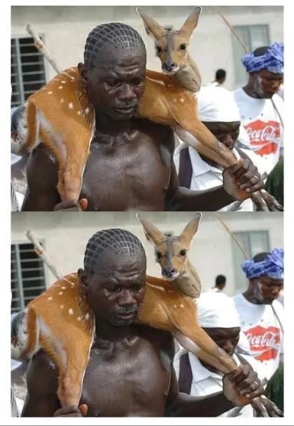 트와이스 가나 사슴