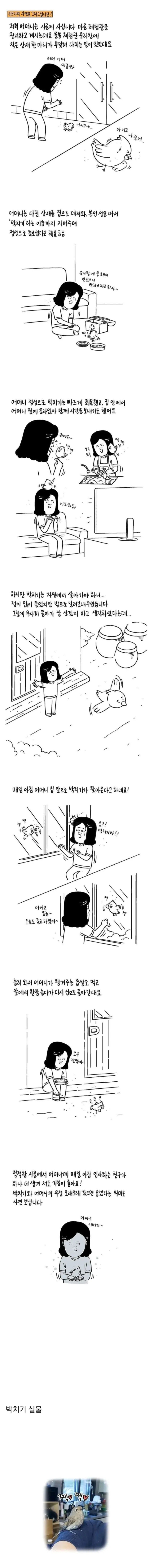 쓰러진 산새를 발견한 어머니
