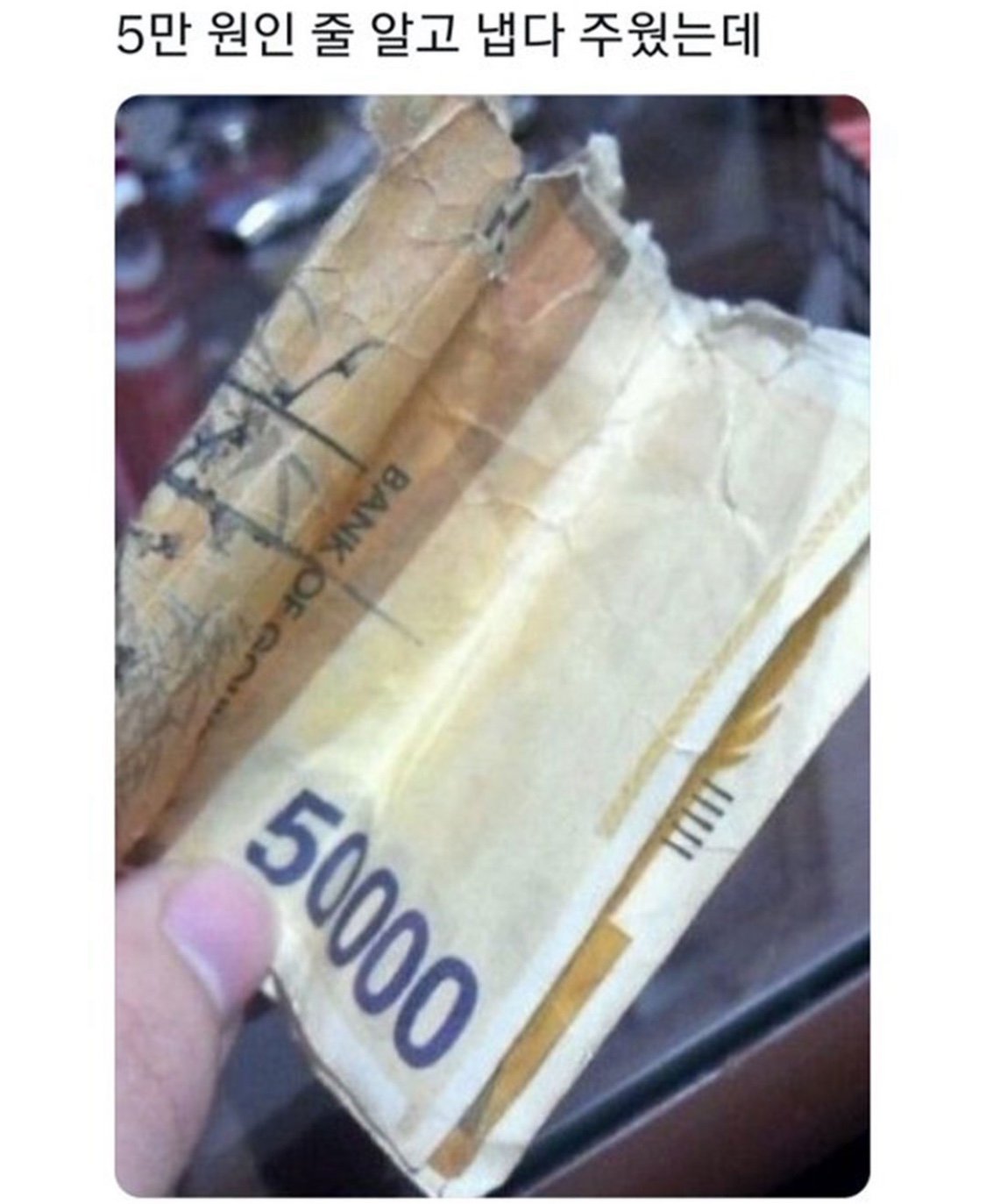 5만원인줄 알고 냅다 주웠는데