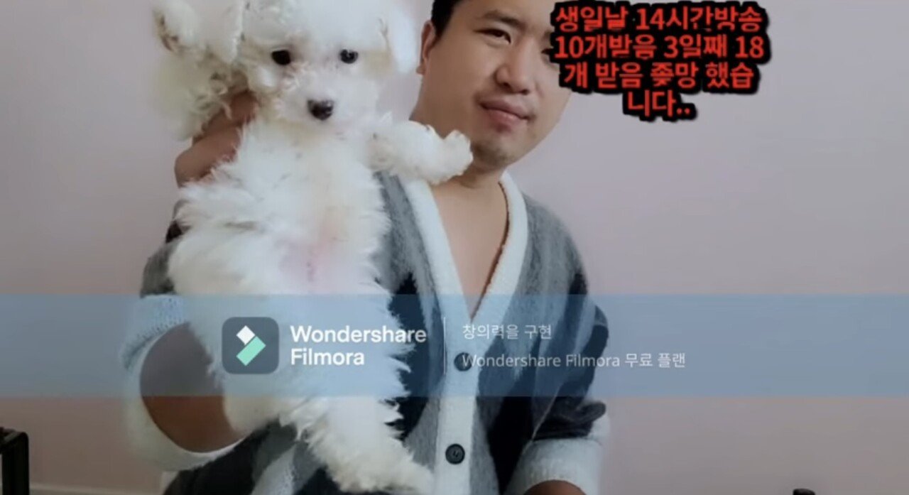 13세와 동거하며, 수차례 성관계 유명 유튜버 입건