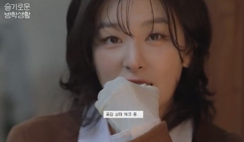 레드벨벳 슬기 최근 폼