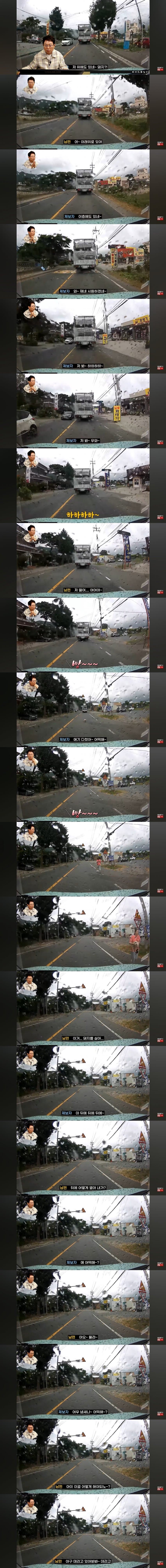 한문철TV) 트럭에서 떨어진 새끼돼지를 구조한 부부 ㅋㅋ