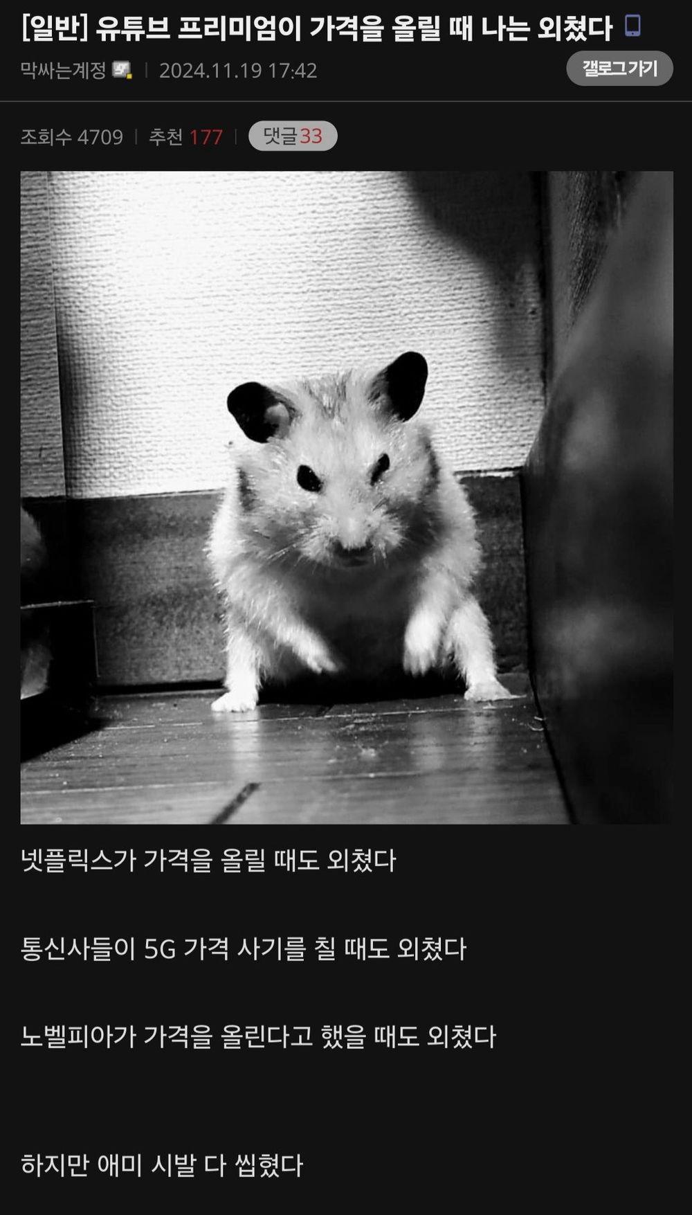 유튜브 프리미엄이 가격을 올릴 때 나는 외쳤다