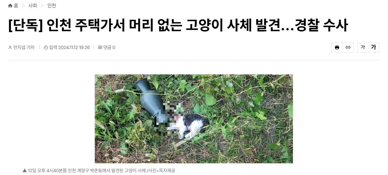 [단독] 인천 주택가서 머리 없는 고양이 사체 발견…경찰 수사