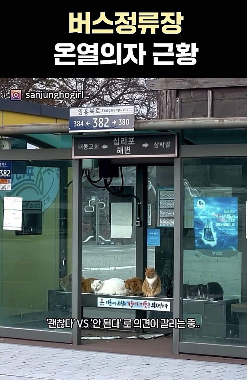 버스 온열의자 근황 ㅎㄷㄷㄷ