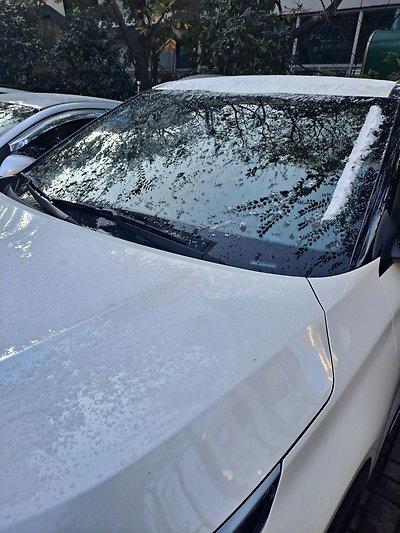 오늘자 난리난 부산 폭설