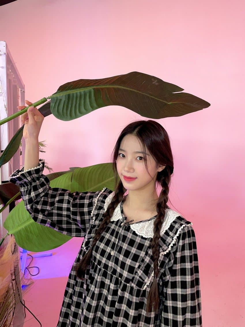 르세라핌 카즈하