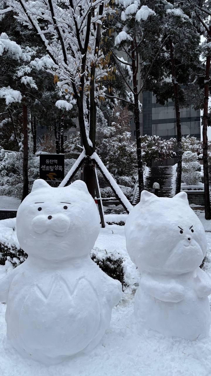 "진짜" 동탄 눈사람 근황