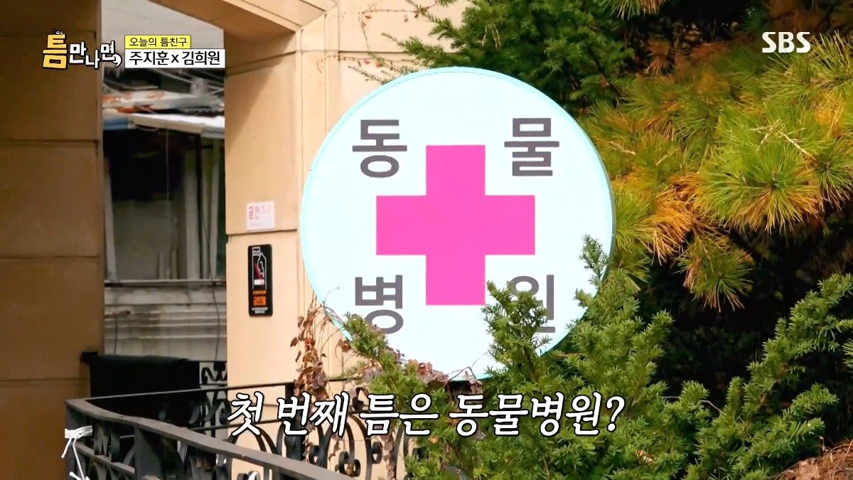 13년차 수의사가 사연 신청한 이유