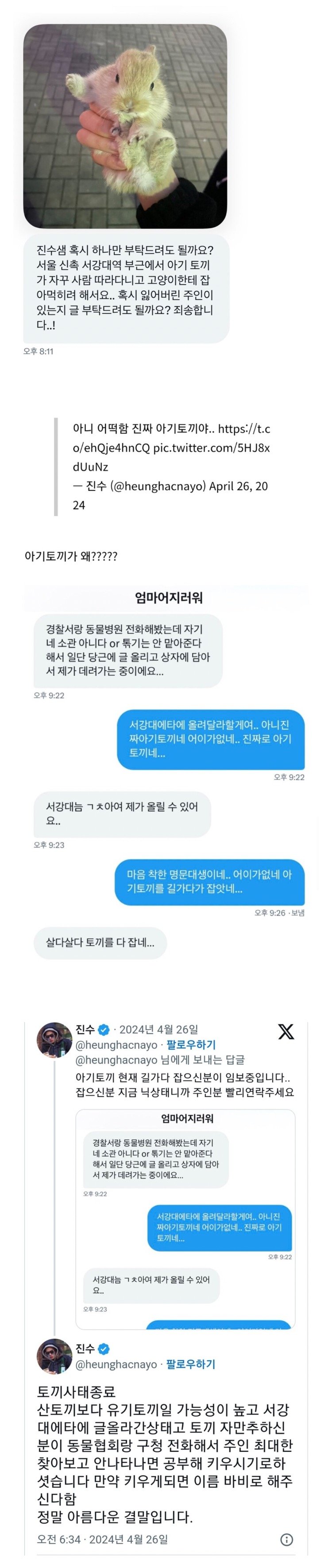 서강대역에서 아기토끼 주운 사람
