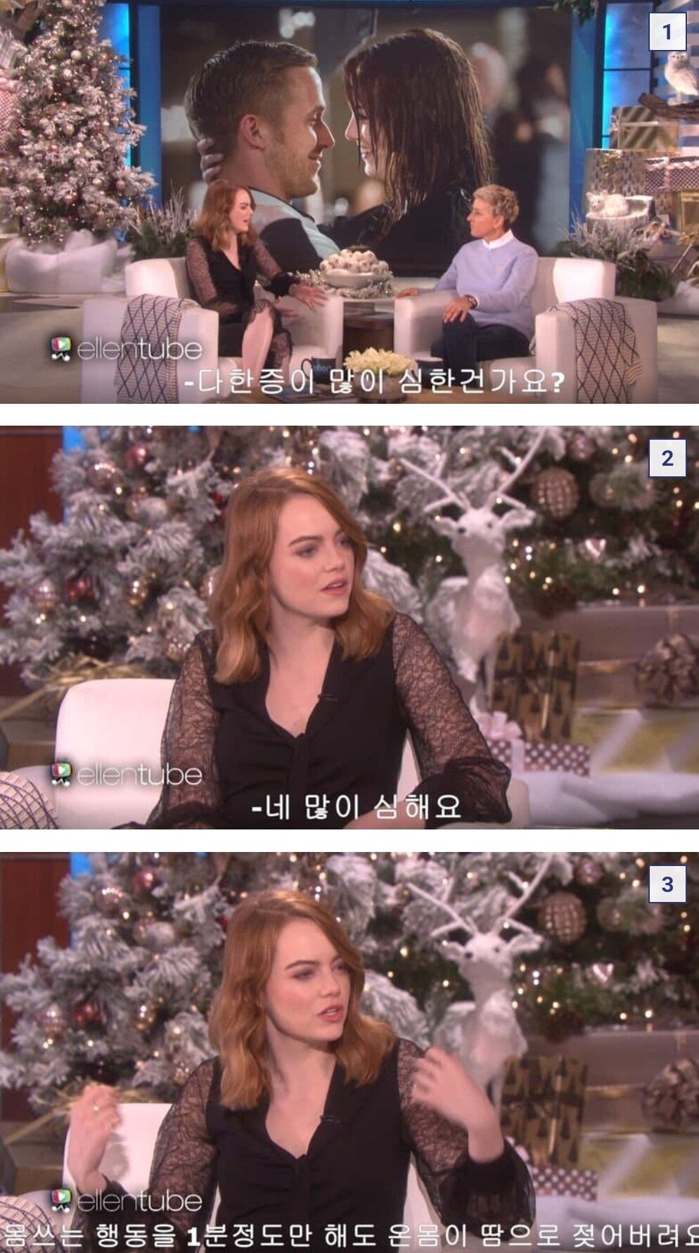 엠마스톤 침대가 5개인 이유