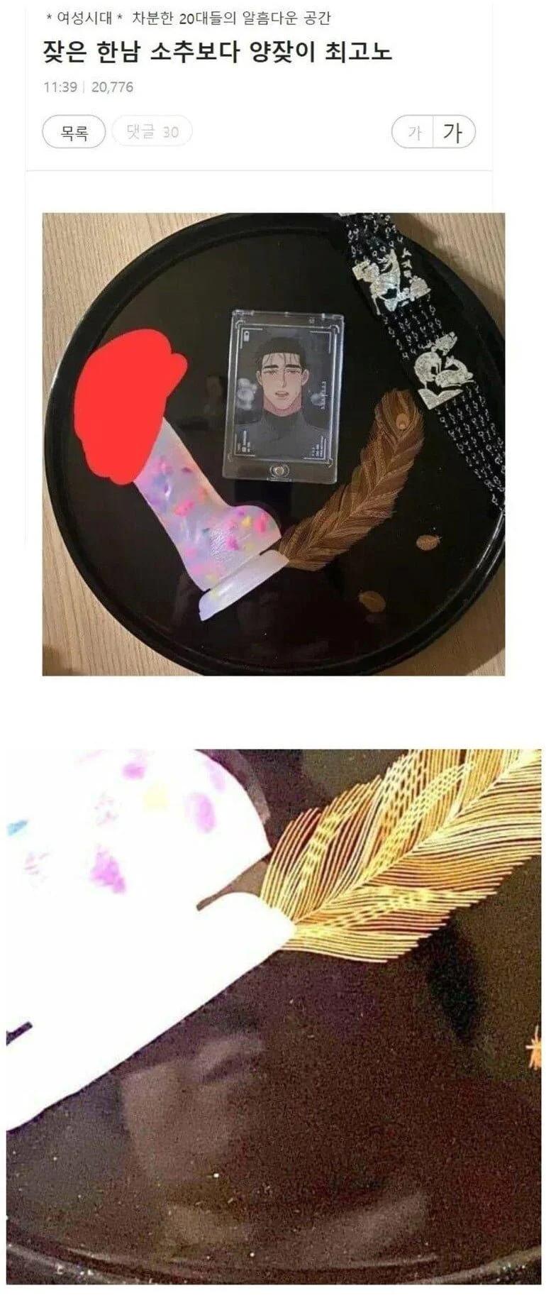 여성시대 인증 대참사