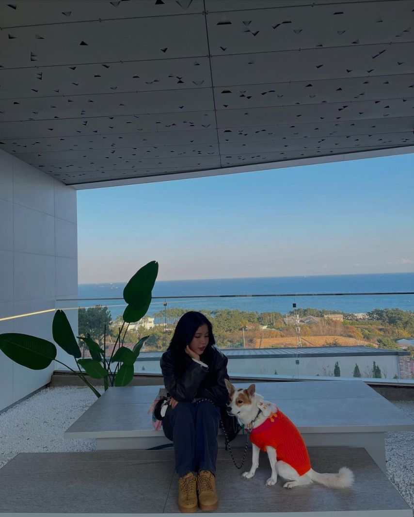 솔라 (마마무) SNS