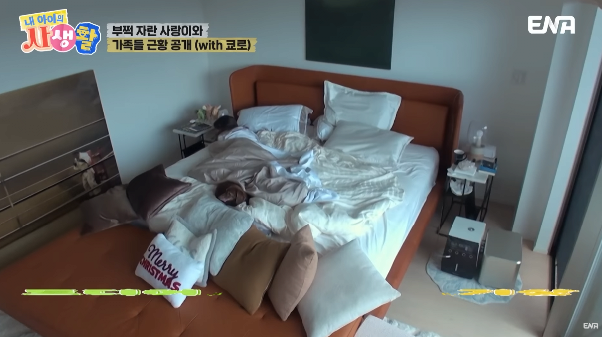 최근 추성훈이 유튜브찍고 야노시호한테 욕먹은 이유ㅋㅋㅋㅋㅋㅋㅋㅋㅋㅋㅋ