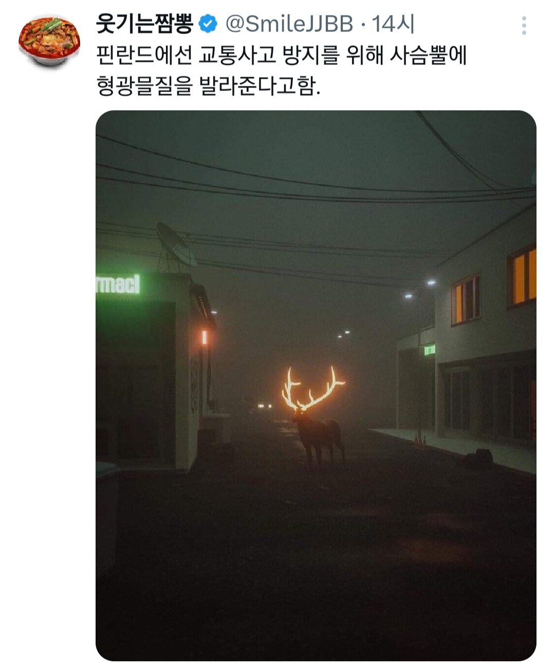 핀란드의 교통사고 방지법