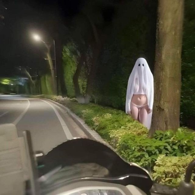 ㅇㅎ)도로에서 귀신 찍힌거 보고가라 ㄷㄷㄷ