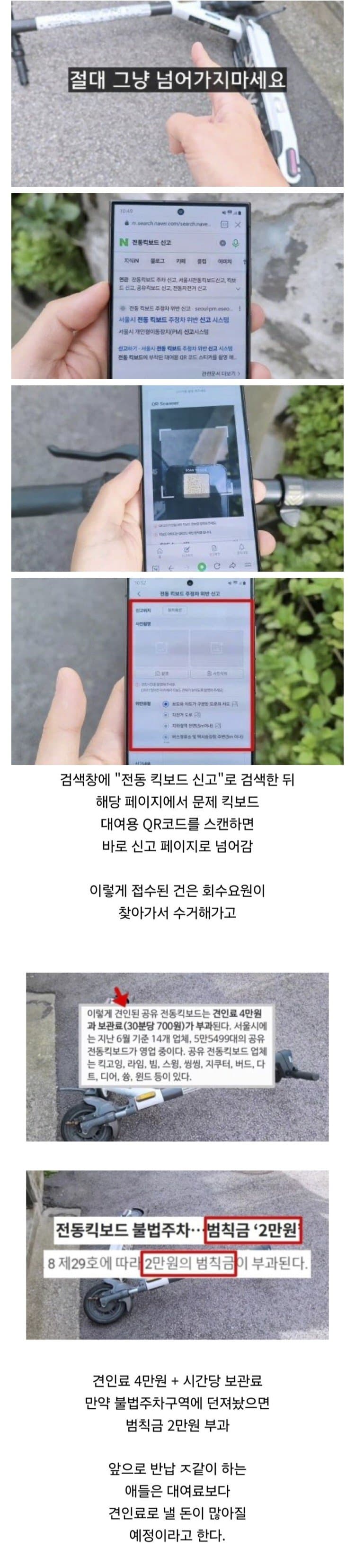 대여 전동 킥보드 던져놓은 거 신고하는 방법