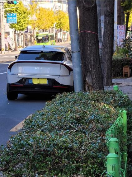 번호판가림 신고만 했을 뿐인데