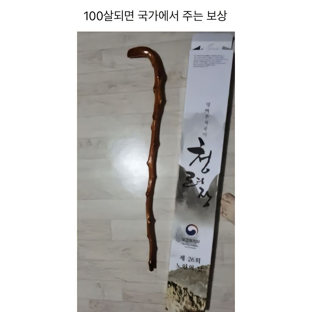 대한민국섭 36,500일 출석 보상