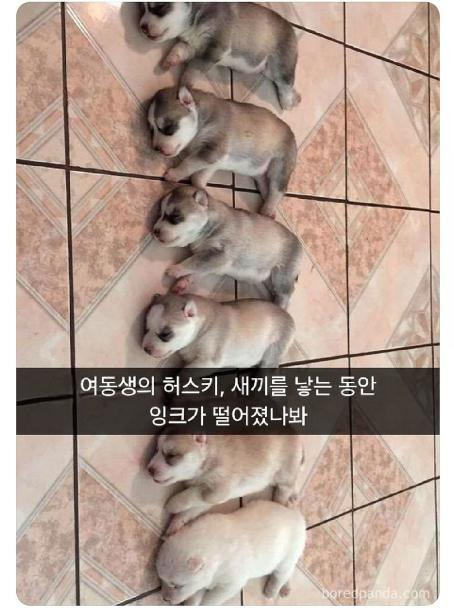 잉크가 다떨어졌나봐