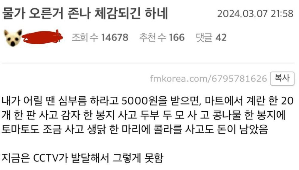 물가 오른거 체감되긴 하네