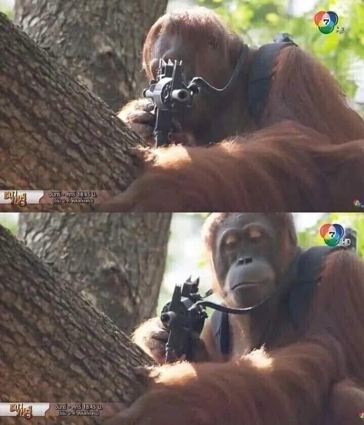 크리스마스 호텔 예약 성공한 사람 필독