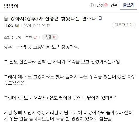 20일 동안 실종된 개를 구조한 강아지