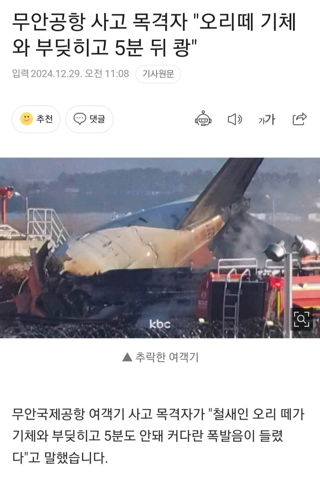 무안공항 사고 목격자 "오리떼 기체와 부딪히고 5분 뒤 쾅"