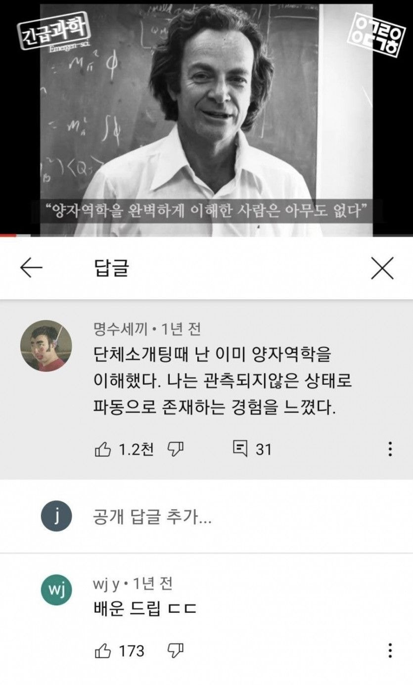 양자역학을 이해한 사람