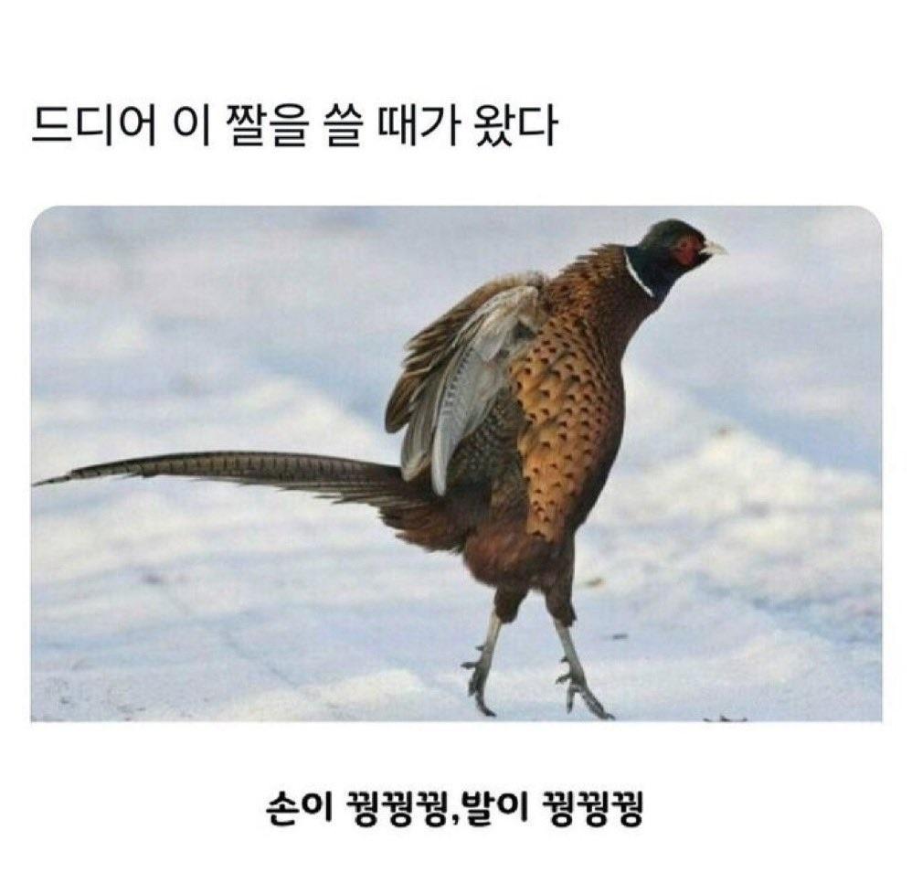 현재 날씨상황