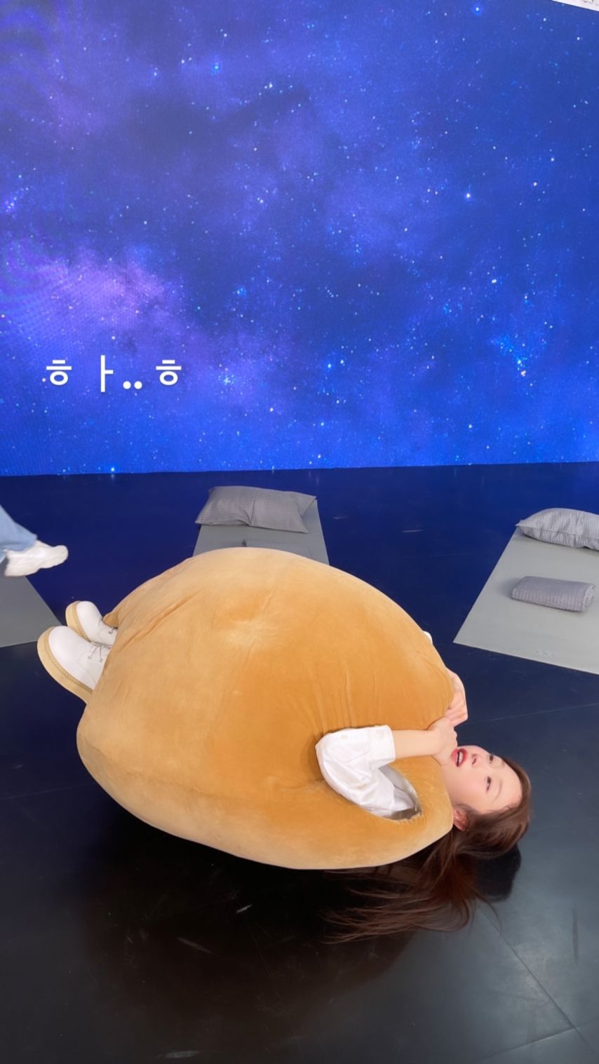 시그니처 채솔 인스타