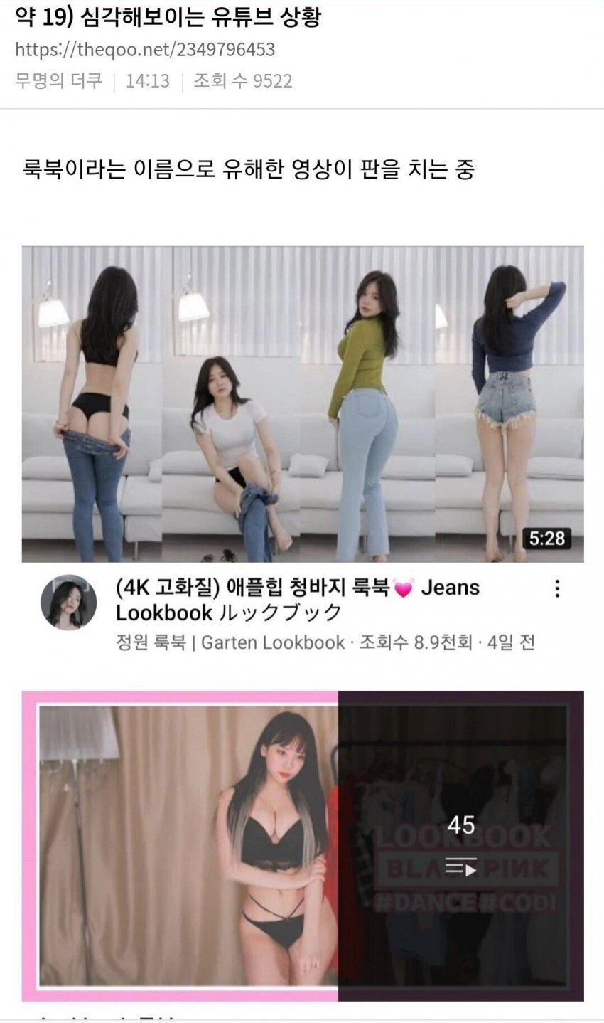 ㅇㅎ) 유튜브 컨텐츠가 검열 당하는 과정