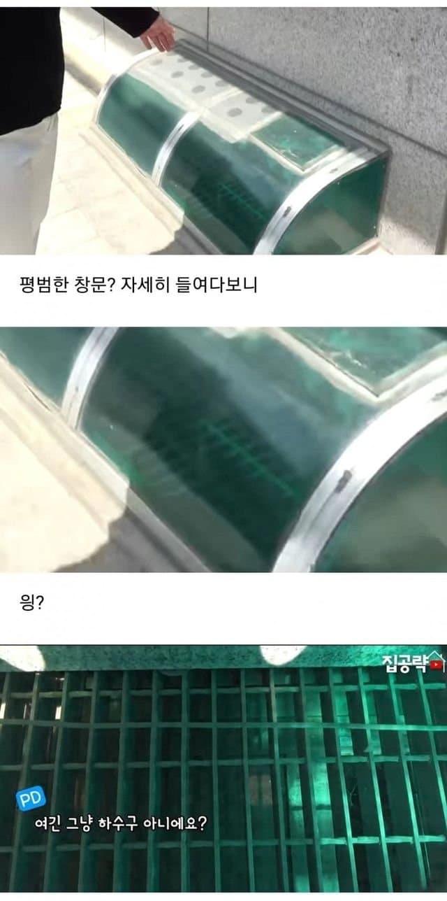 서울 반지하 레전드 ㄷㄷㄷ
