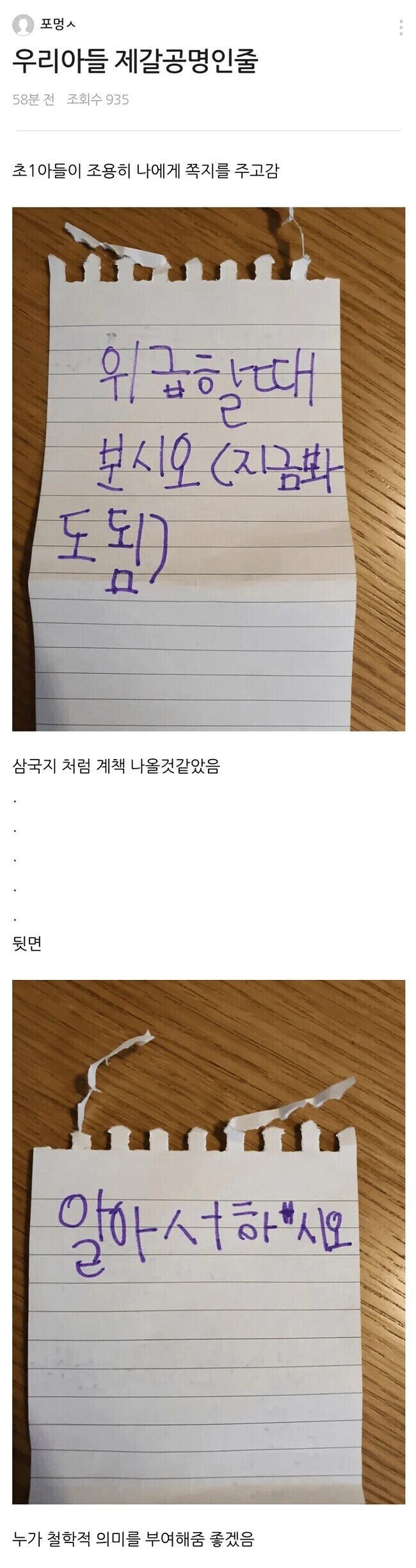 전생에 제갈량이 의심되는 아들