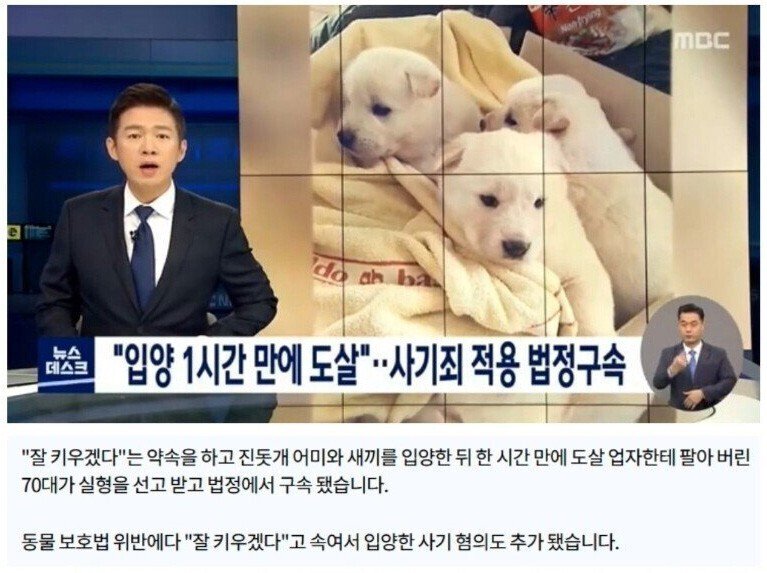 개고기에 미쳐버린 70대 사례