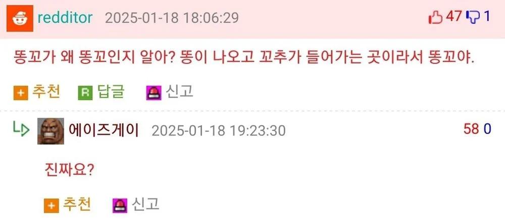 💩)똥꼬는 왜 똥꼬인가