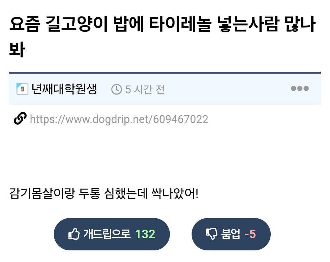 요즘 길고양이 밥에 타이레놀 넣는사람 많나봐