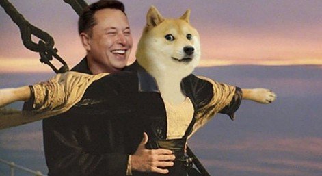 일론머스크 도지코인 최신 근황 ㄷㄷ