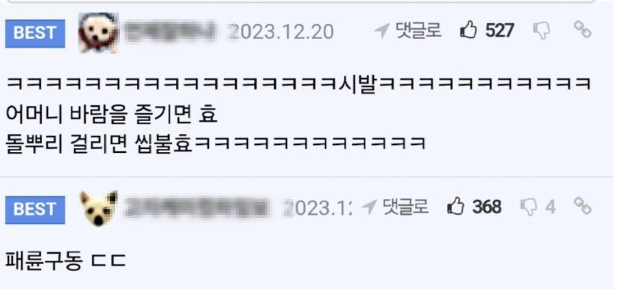 은근 효불효 갈린다는 짤