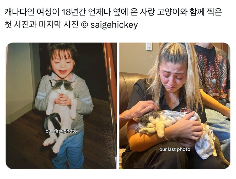 18년의 세월이 담긴 처음이자 마지막 사진.... ㅎㄷㄷ