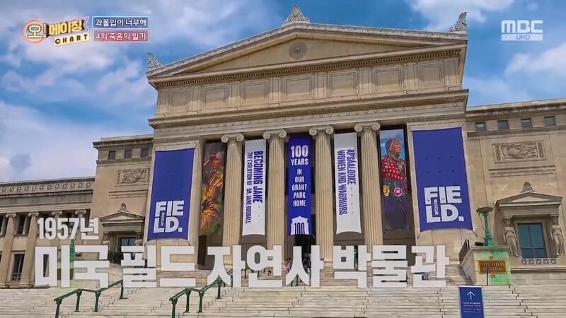 독사에 물렸는데도 치료 거부한 뱀 연구학자