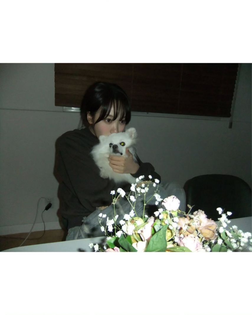 르세라핌 김채원