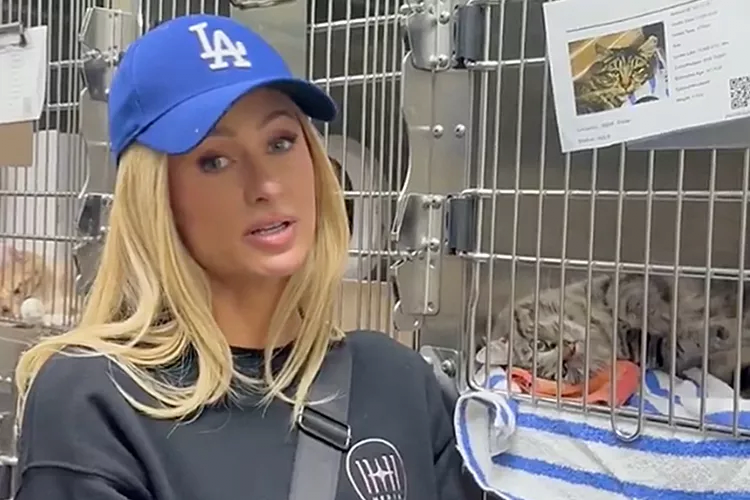 패리스 힐튼 근황