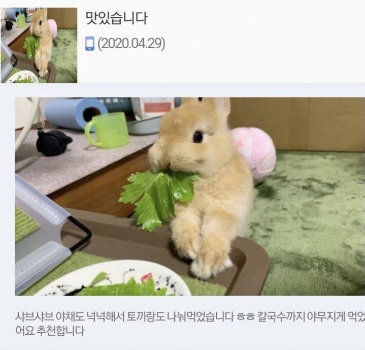 만족도 최상급 샤브샤브 배달 리뷰